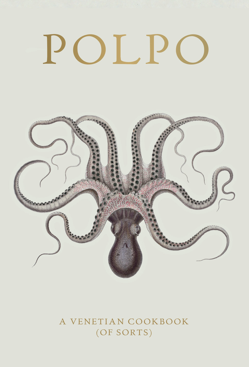 Polpo / a venetian cookbook